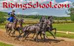 Domain ridingschool.com for sale